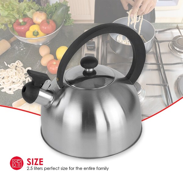 Hds Trading 85 oz Stainless Steel Tea Kettle, Silver - ZOR95891