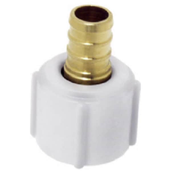Homestead 0.75 x 0.75 in. Female Pipe Thread Adapter - HO591631