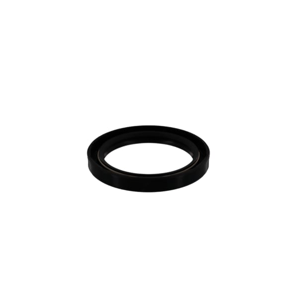 Alliance SEAL SHAFT SS SPR 60X80X10MM - F100208