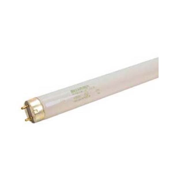 Anthony International Bulb, Fluorescent , T-8, 24" - 60-11003-0001