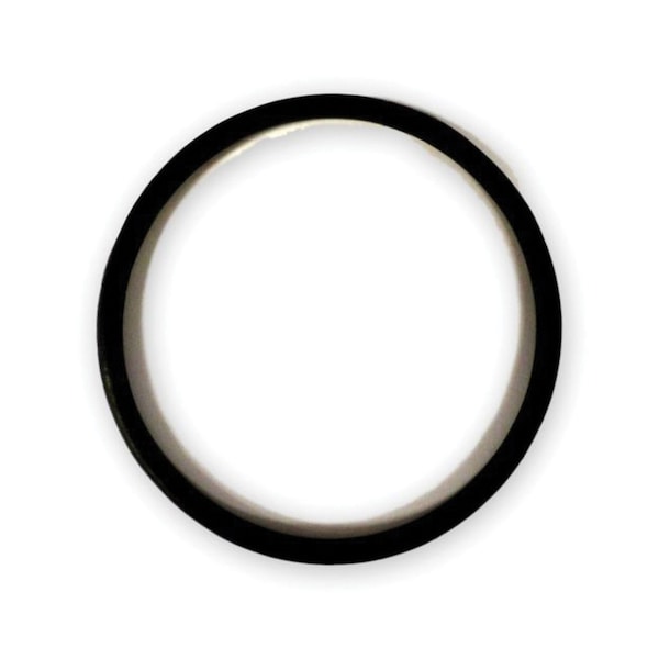Waterpur WaterPur 10-CLW CANISTER O-RING ONLY Replacement O-Ring - A4125