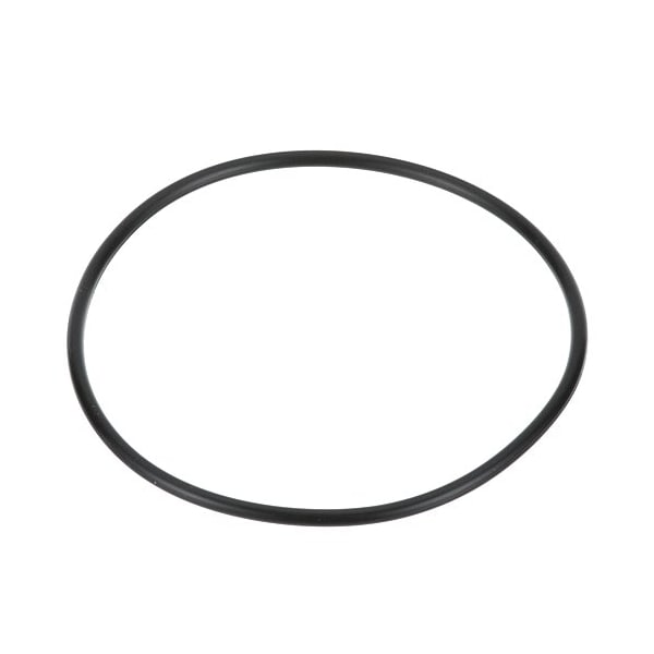 Everpure O-Ring, 151120 - 151120