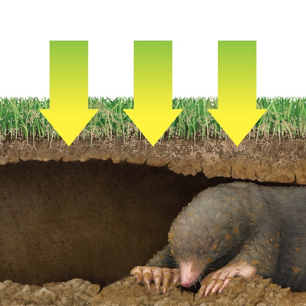Victor Mole&Gopher Repllnt 10Lb - M7002-2