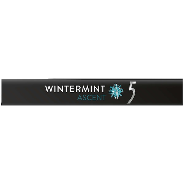 Chicle de 5 Gum sin azúcar sabor invierno, 15 piezas, paquete de 120 - 305990