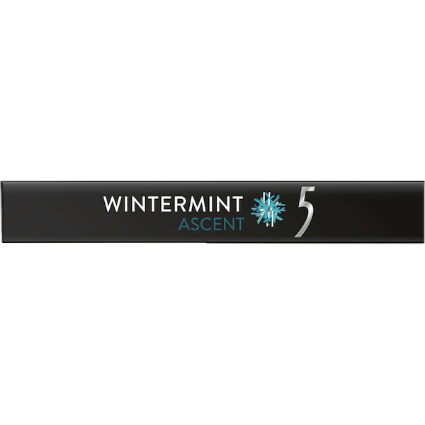 Chicle de 5 Gum sin azúcar sabor invierno, 15 piezas, paquete de 120 - 305990