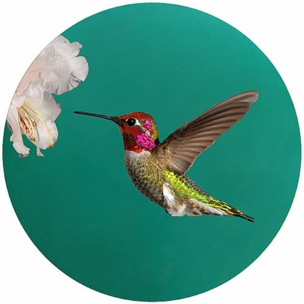 Andreas Andreas TR-CAH 8 in. Custom Annas Hummingbird Trivet  Round - 3 Pack - TR-CAH