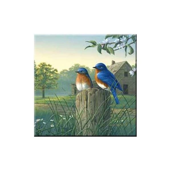 Fastfood McGowan Tuftop Country Morning Bluebirds Trivet - FA2611480