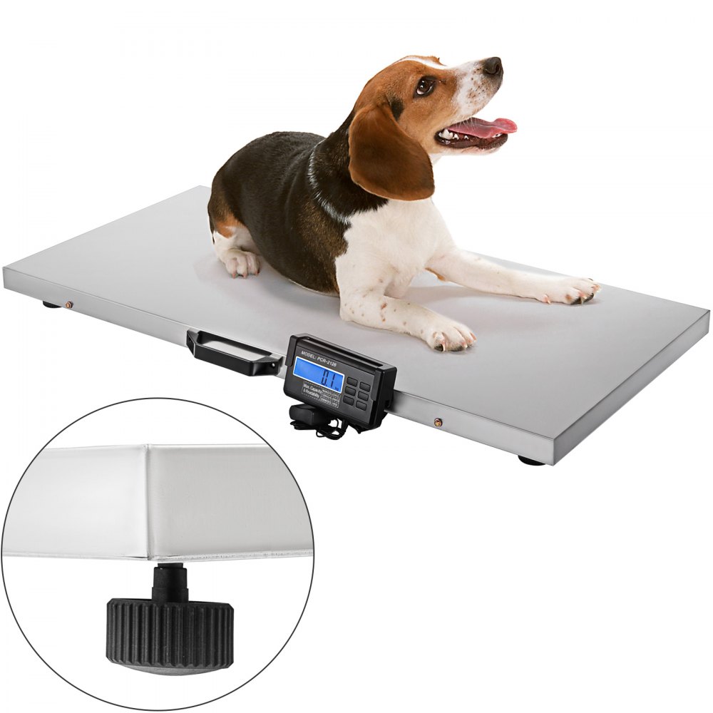 VEVOR 880Lbs x 0.2Lbs Livestock Scale Shipping Scales Large Platform 40.6x20.9Inch Stainless Steel Vet Scale Industrial Floor Scale Large Animal Dog Pig Scale Goat Weight Scale Pet Digital Scale - XMC700B110X52CM01V1