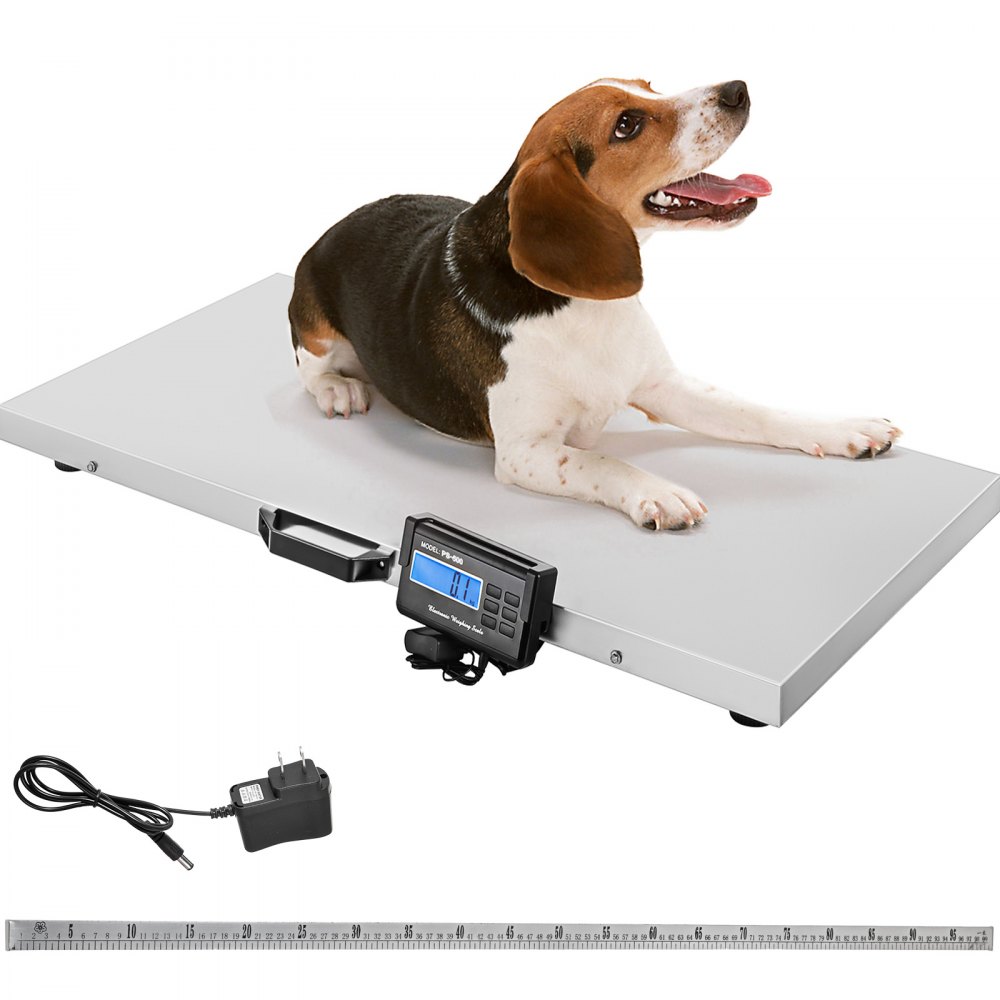 VEVOR 1100Lbs x 0.2Lbs Digital Livestock Scale Large Pet Vet Scale Stainless Steel Platform Electronic Postal Shipping Scale Heavy Duty Large Dog Hog Sheep Goat Pig Sheep Scale - XMC1000B110X52CM1V1