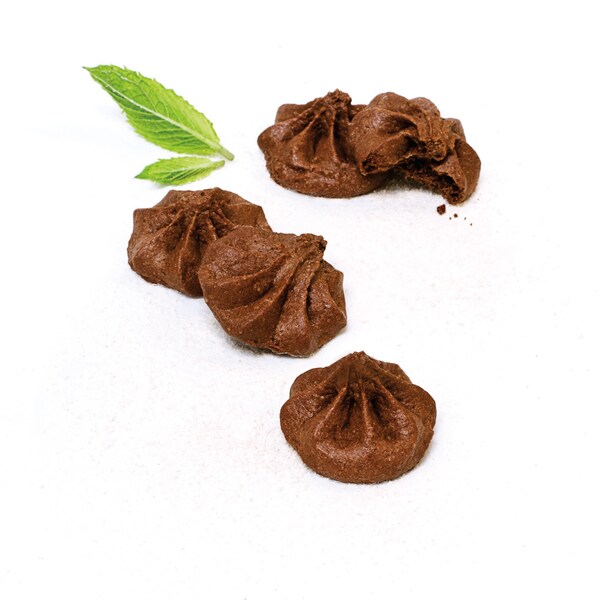 Galletas mini de chocolate con menta para llevar en cajas individuales de 0.95 oz., paquete de 10 - LGFMMC10