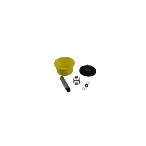 Alliance KIT VALVE REPAIR 10MM - F380938
