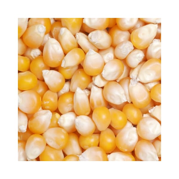 Palomitas de maíz a granel Great Northern Popcorn 4097 GNP Original Yellow, gourmet, 12.5 libras - 360901OIT