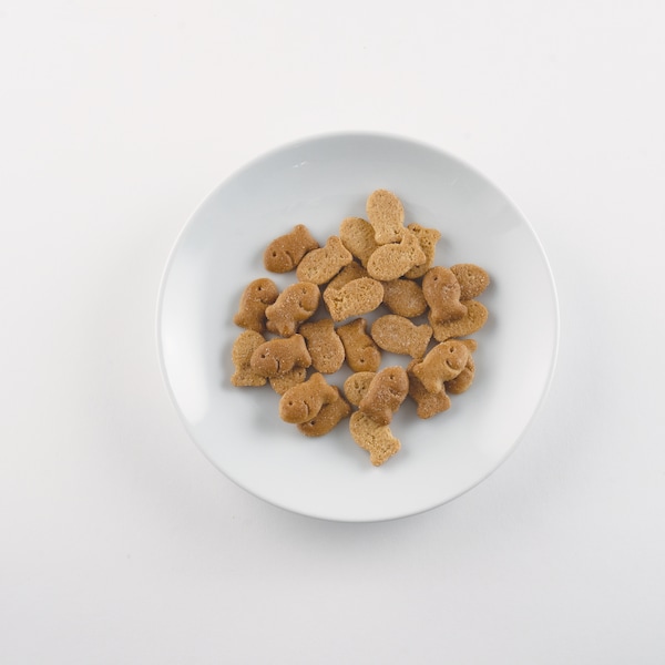 Pepperidge Farms Honey Bun Grahams Goldfish Botana de Galletas Graham de 1 oz., Paquete de 300 unidades - 000025083