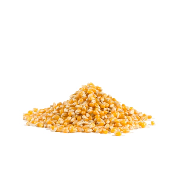 Bob's Red Mill Whole Yellow Popcorn, Paquete de 4 - 1160S304 de Alimentos Naturales de Bob's Red Mill