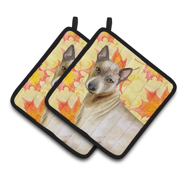 Carolines Treasures Thai Ridgeback Fall Pair of Pot Holders - BB9941PTHD