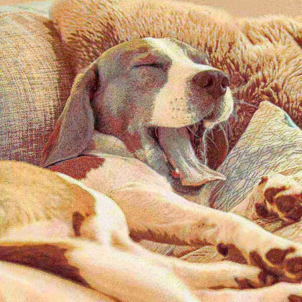 Protector de muebles Adobe para mascotas, cubierta con relleno de espuma viscoelástica triturada de 30" x 30.5" para perros y gatos (color café) - 626052WPN