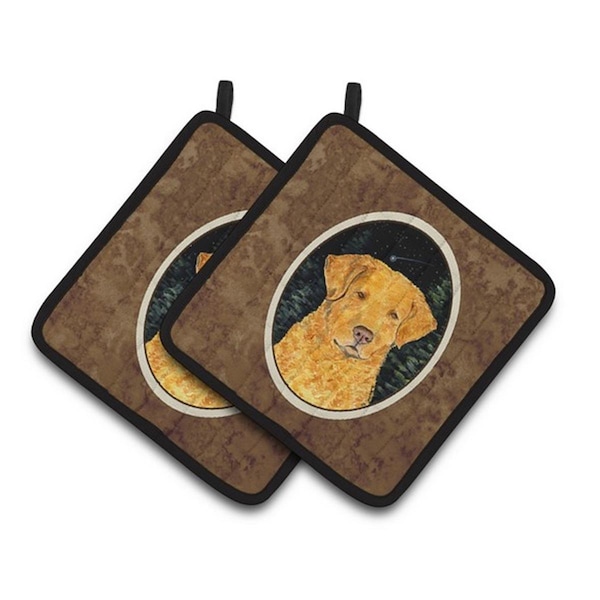 Carolines Treasures Starry Night Chesapeake Bay Retriever Pair of Pot Holders, 7.5 x 3 x 7.5 in. - SS8487PTHD
