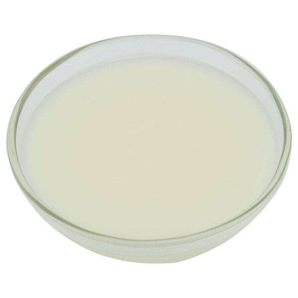 Esmalte para alimentos Brill Brill Glaze 'N Shine de 40 libras - 10198587