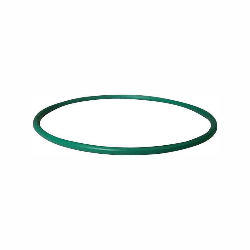 Motorcraft Fuel Pump Tank Seal - CG-807