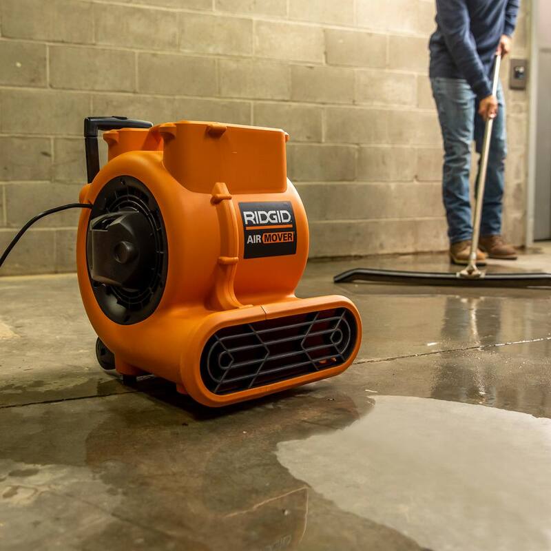 RIDGID 12 Gallon 5.0 Peak HP NXT Shop Vac Wet Dry Vacuum with Filter, Locking Hose, Accessories & 1625 CFM Blower Fan Air Mover - HD1200AM