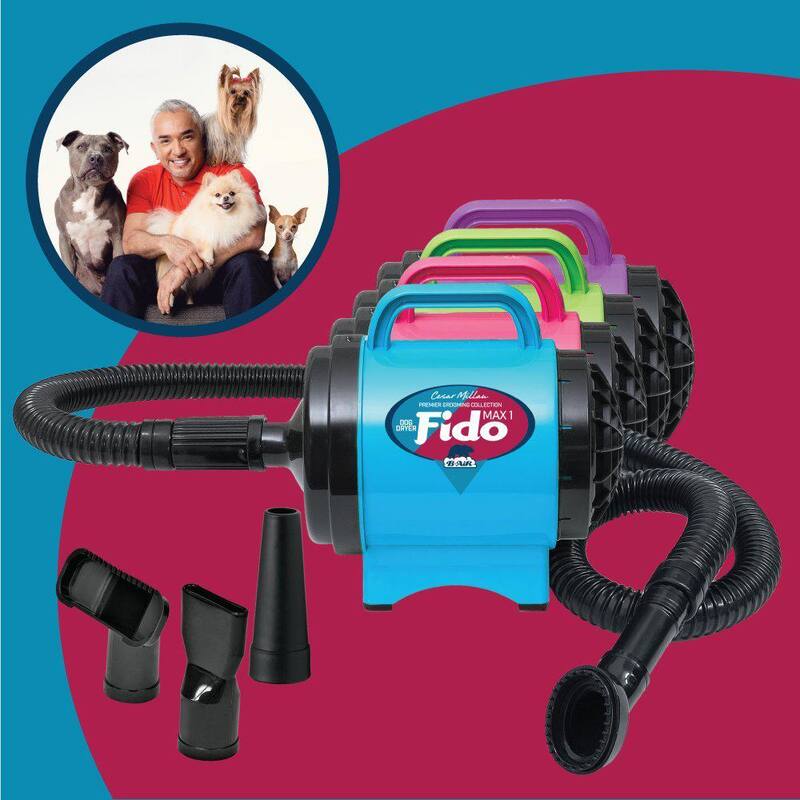 B-Air Cesar Millan Collection 2 HP Fido Max 1 Pet Grooming Dog Dryer, Lime Green - BA-FM-1-GN