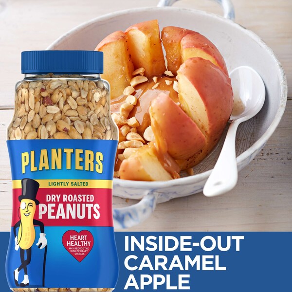 Maníes Planters tostados en seco con un ligero toque de sal en frasco de 1 libra, paquete de 12 - 10029000076508
