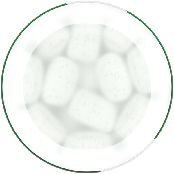 Orbit Orbit White Spearmint Soft Chew Botella 40 piezas, PK24 - 384812