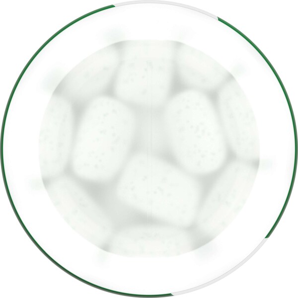 Orbit Orbit White Spearmint Soft Chew Botella 40 piezas, PK24 - 384812