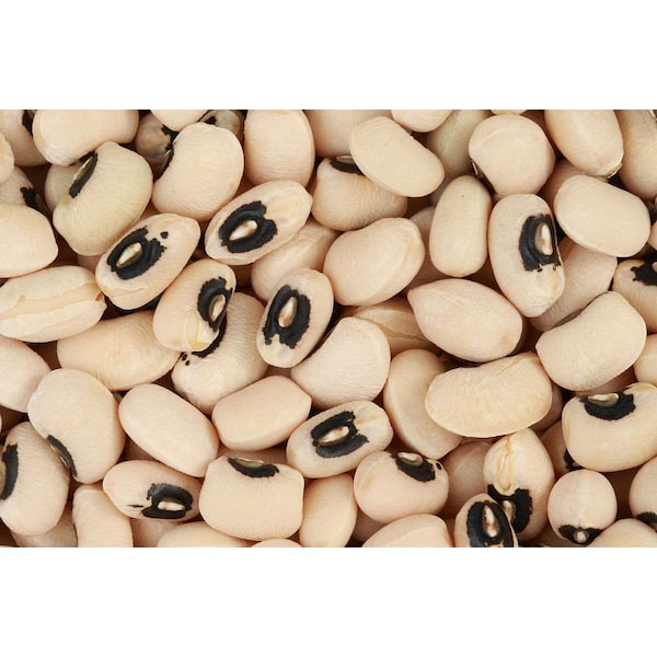 Frijoles de commodities: Frijoles de ojo negro de commodities 20 libras - 5725