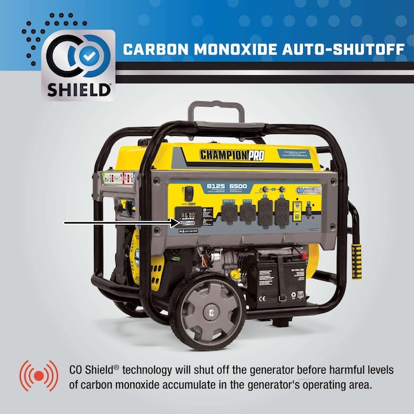Champion Power Equipment Portable Generator, Gasoline, Electric, Recoil Start, 120/240V AC - 100430