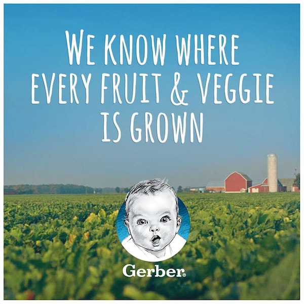 Alimento Gerber Gerber 1st Foods Butternut Squash Paquete múltiple de 4 oz. Tinas, paquete de 8 - 00015000910341U