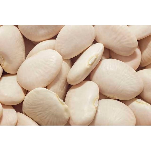 Productos enlatados de frutas y verduras - Pílones de mantequilla fina en salsa lata #10, paquete de 6 - 10923