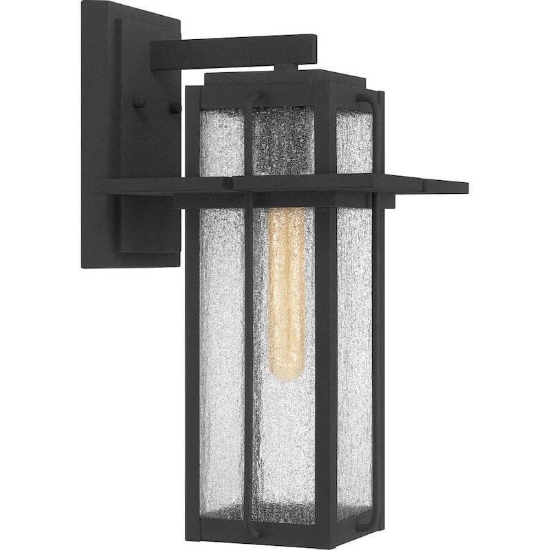 Aplique de pared exterior Quoizel Randall de 9 pulgadas con 1 luz, acabado en negro moteado y vidrio transparente Seeded - RDL8409MB