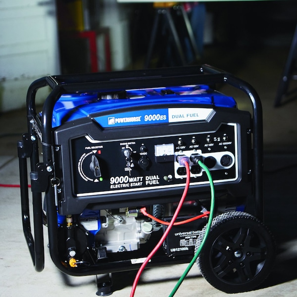 Powerhorse Dual Fuel Generator | 9,000 Surge Watt | Electric Start - 750133
