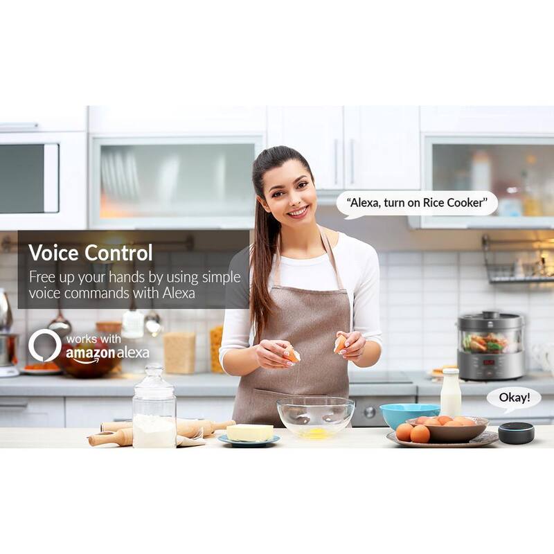 Enchufe inteligente WBM SMART Wi-Fi con control de voz y de aplicación, paquete de 4 unidades - HDPG-07-4PK