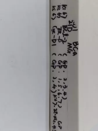 Unbranded Microscope Slides GP