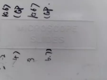 Unbranded Microscope Slides GP