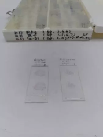 Unbranded Microscope Slides GP