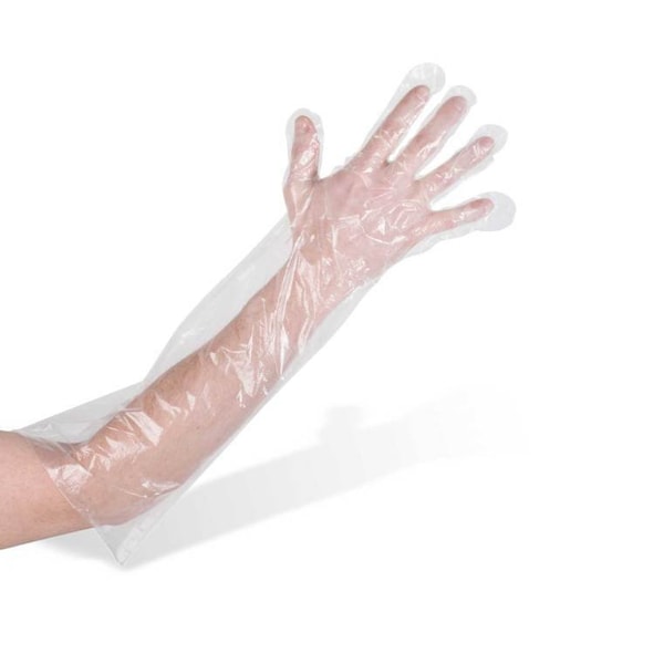 Guantes Desechables de Polietileno Amercareroyal, .03mm de Palma, Polietileno, 100 piezas, Transparente - 485RDEG