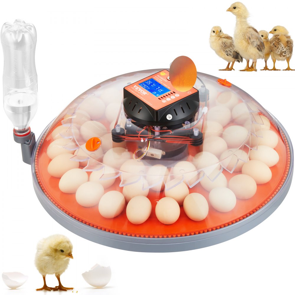 VEVOR 48 Egg Incubator, Incubators for Hatching Eggs, 360° Automatic Egg Turner with Temperature and Humidity Display, 48 Eggs Poultry Hatcher with ABS Transparent Shell for Chicken, Duck, Quail - JQDLFYQ48MYAOMFXPV5