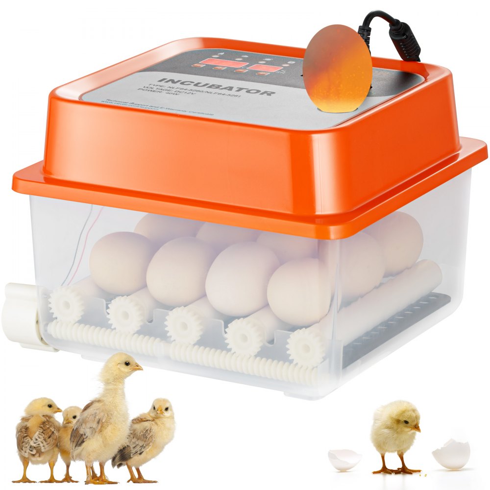 VEVOR Egg Incubator, Incubators for Hatching Eggs, Automatic Egg Turner with with Temperature and Humidity Control, 12 Eggs Poultry Hatcher with ABS Transparent Shell for Chicken, Duck, Quail - JQDLFYQ12MYAUJ9D8V5