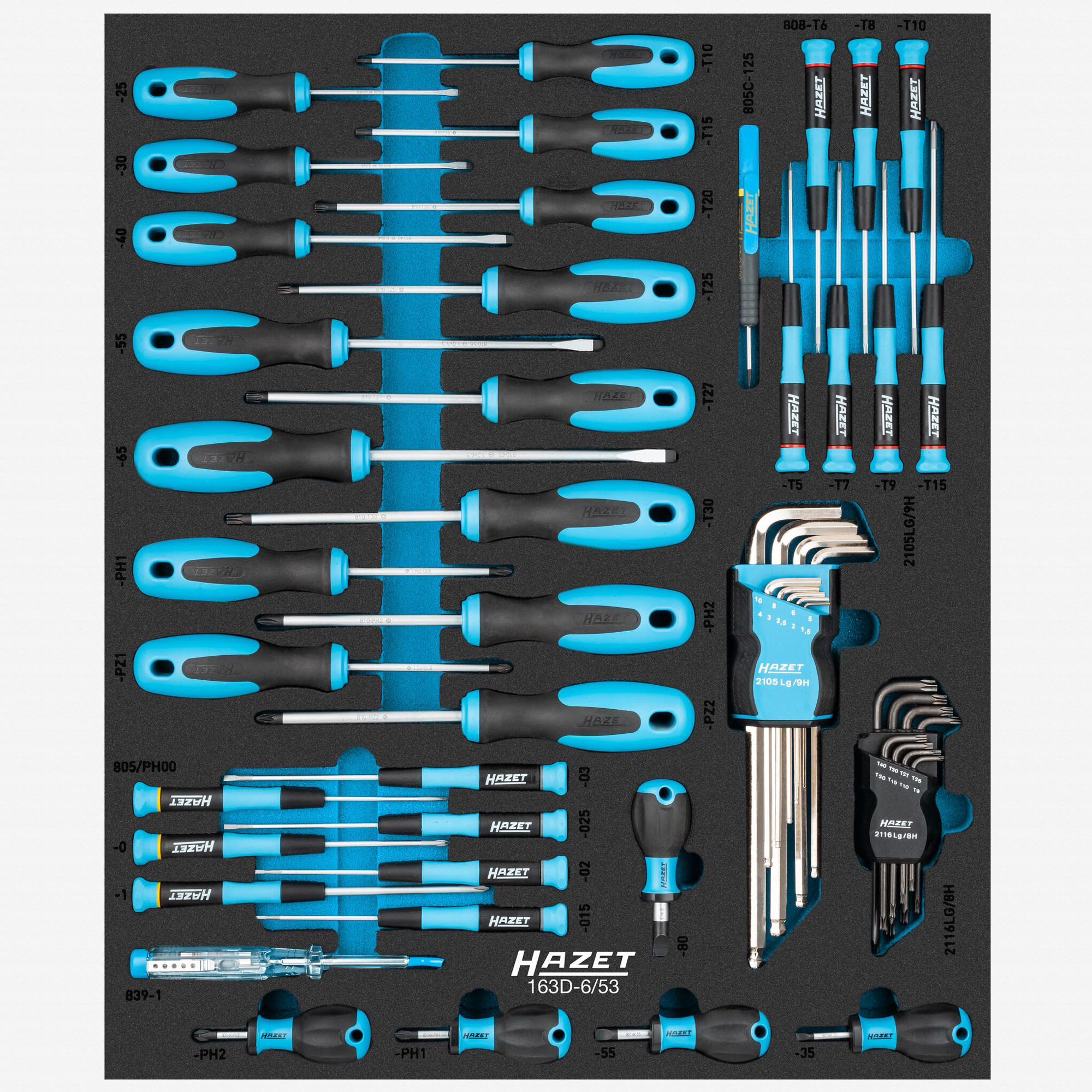 Hazet 163D-6/53 Screwdriver Set in Foam Tray, 53 Pieces