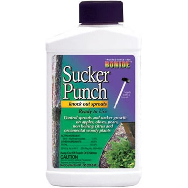 Bonide Products Bonide Products 276 8 oz. Ready To Use Sucker Punch Brush Top - 175080
