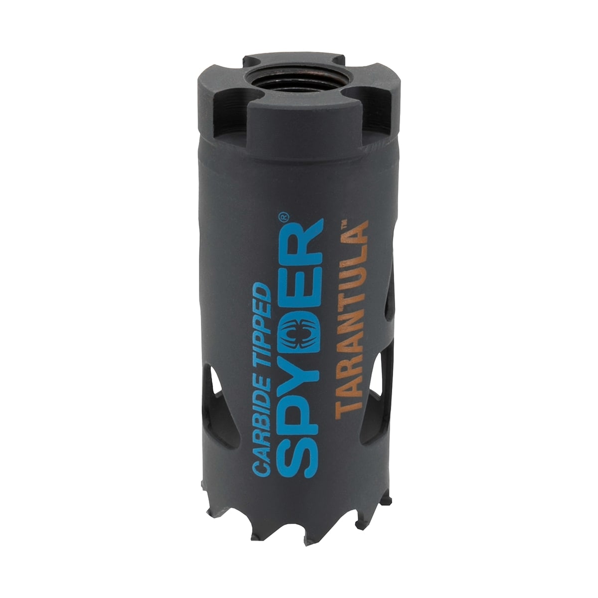 Sierra de perforación sin mandril con punta de carburo de 1-1/4 pulgadas para Tarántula Spyder 600899CF