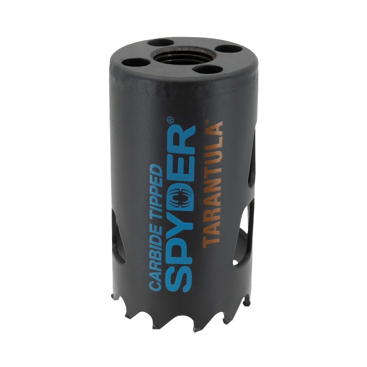 Sierra de orificio sin mandril de 1-1/2 pulgadas con punta de carburo Spyder Tarántula 600901CF
