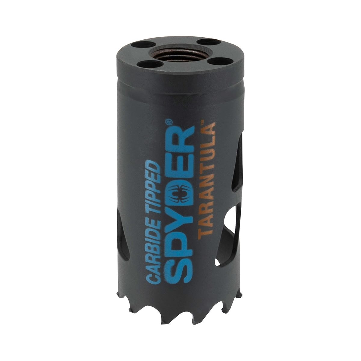Sierra de agujero de carburo con punta de 1-3/8 pulgadas sin arbor para tarántula Spyder