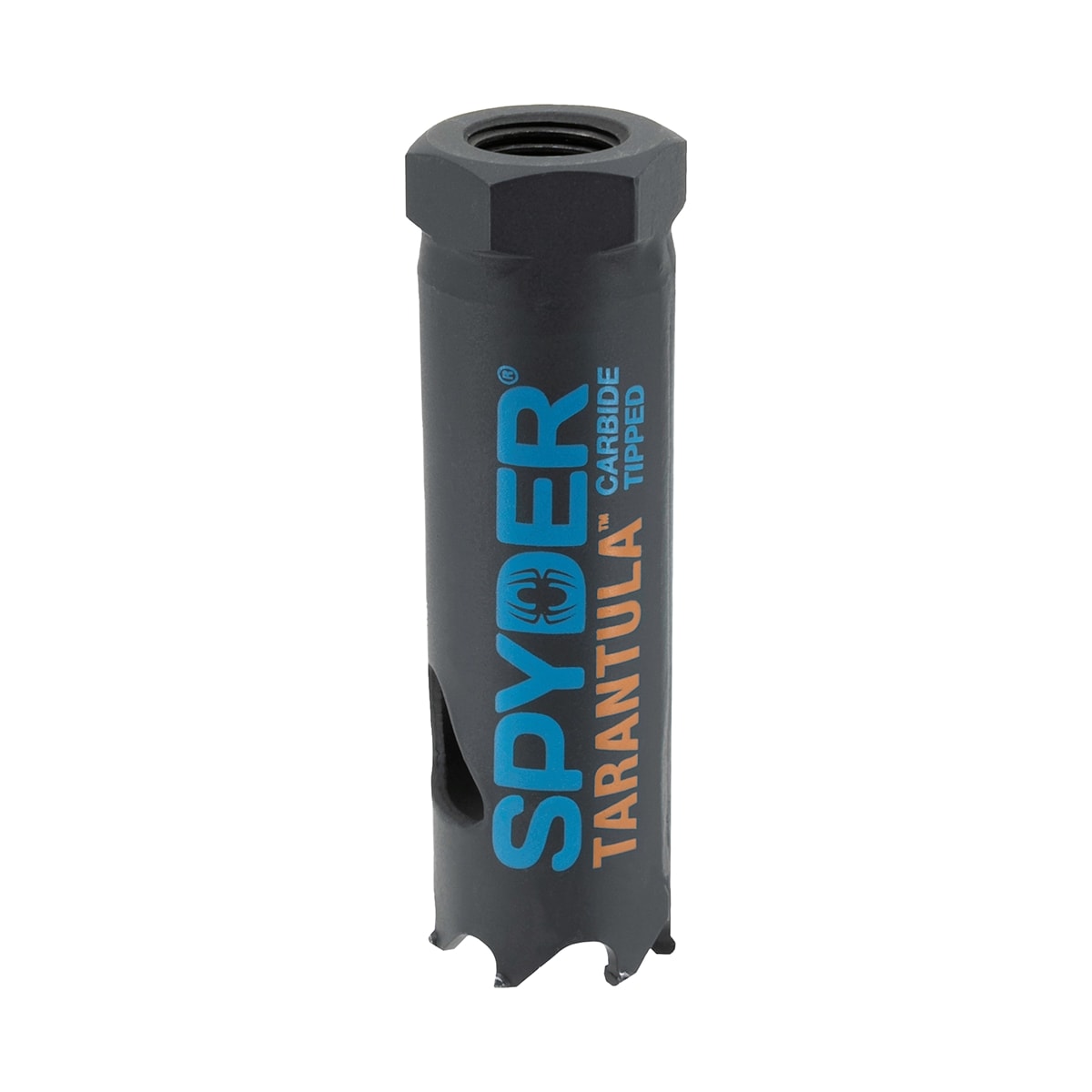 Sierra perforadora de carburo sin arbor para agujeros de 7/8 de pulgada Spyder Tarántula 600895CF