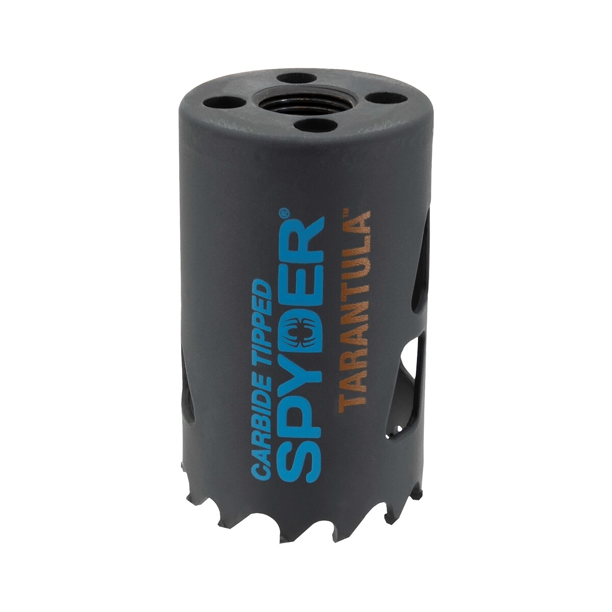 Broca de agujero sin arbor para sierra perforadora de carburo de 1-5/8 pulgadas de Spyder Tarántula