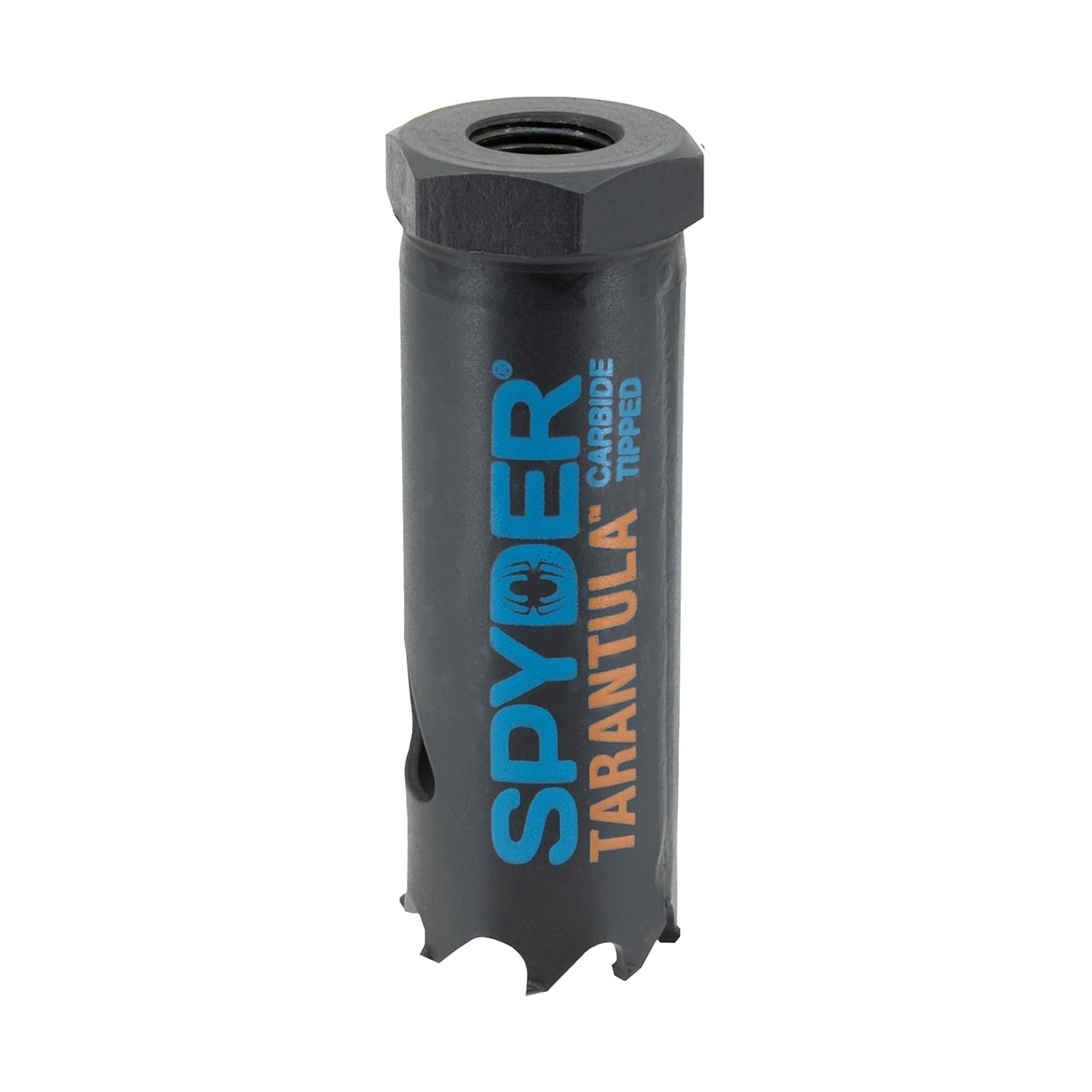 Sierra de agujero sin arbor para metal duro de 1 pulgada Spyder Tarántula 600896CF