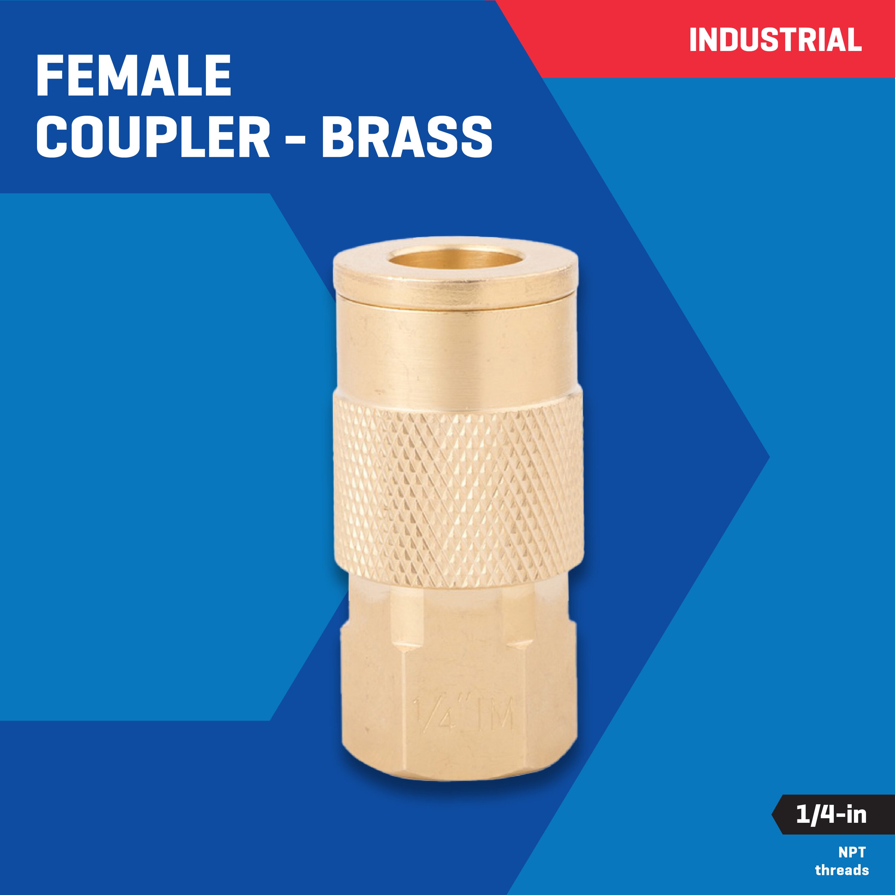 Acoplador de latón Kobalt (Hembra) 1/4 pulgadas Industrial SGY-AIR23NB